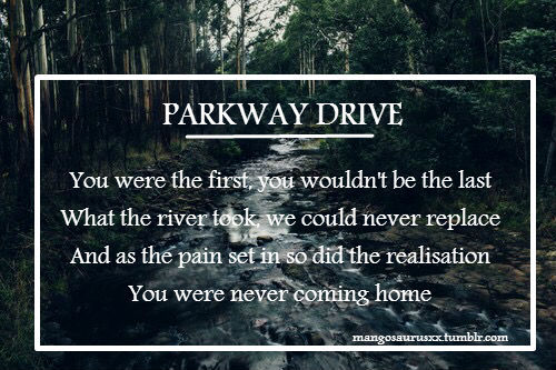 mangosaurusxx:  Parkway drive the river Follow for more 