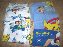 My thoughts over the last 4 days have been nothing but this Ash Ketchum bed sheet set!!