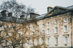 ingelnook:  trinity college by ivvy million