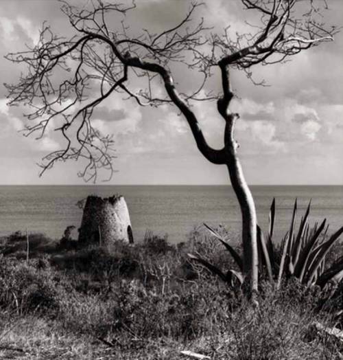 Abandoned Sugar Mill 1969 by Margo Davis.