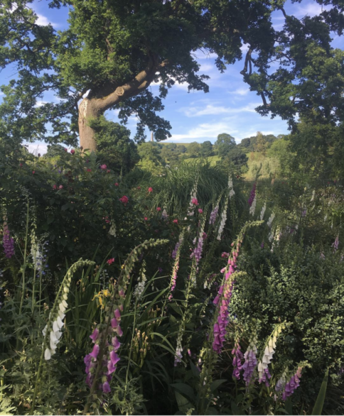annedebretagneduchesseensabots:A garden blending into the English countryside  by  Susanna