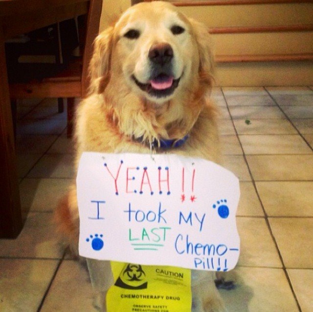 awwww-cute:   That’s a cancer free smile! 