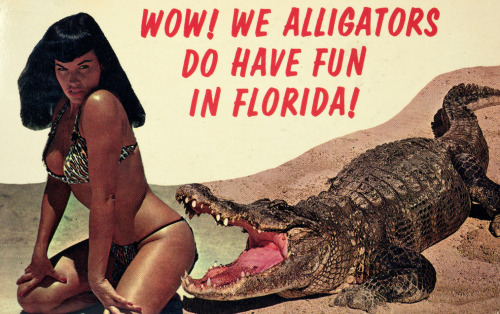 vixensandmonsters: Bettie Page photographed by Bunny Yeager, Florida, 1954