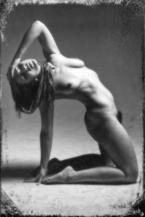 stevelease:  Model: Zinn Star