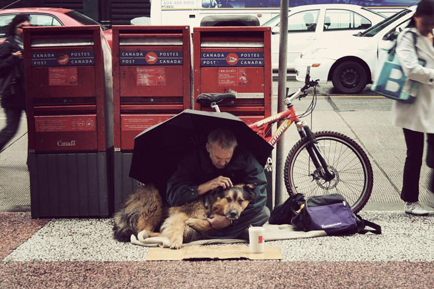 midnightsun70:“Once a dog forms a close relationship with a caring owner, their