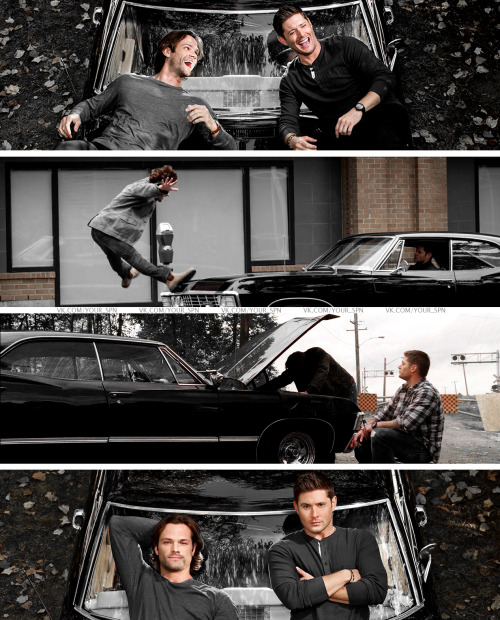 lmvlis: The only thing that’s certain about Supernatural’s end is Baby’s fate. ‘He gets Baby,’ Pada