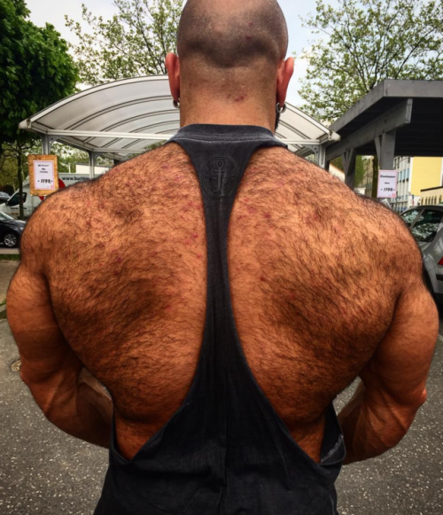 hairybacker:Hairy Back 56