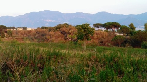 Volcanic Land (foto Mie)
