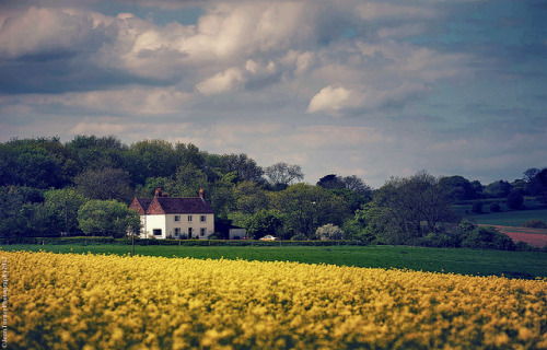 This is England by JennTurner on Flickr.