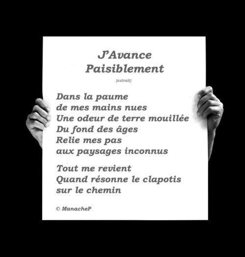 Tout me revientQuand résonne le clapotissur le cheminJ’avance Paisiblement(extrait)Aux miroirs laiss