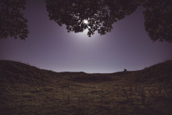 thealienemily:   	Moon Shine by Adam Marshall