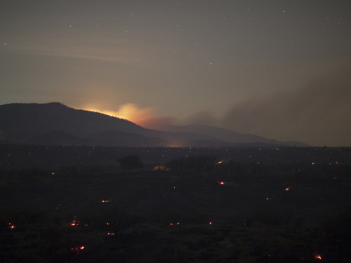 Terror as wildfire spread to LA-Vegas highway destroying dozens of cars and sending travellers screa