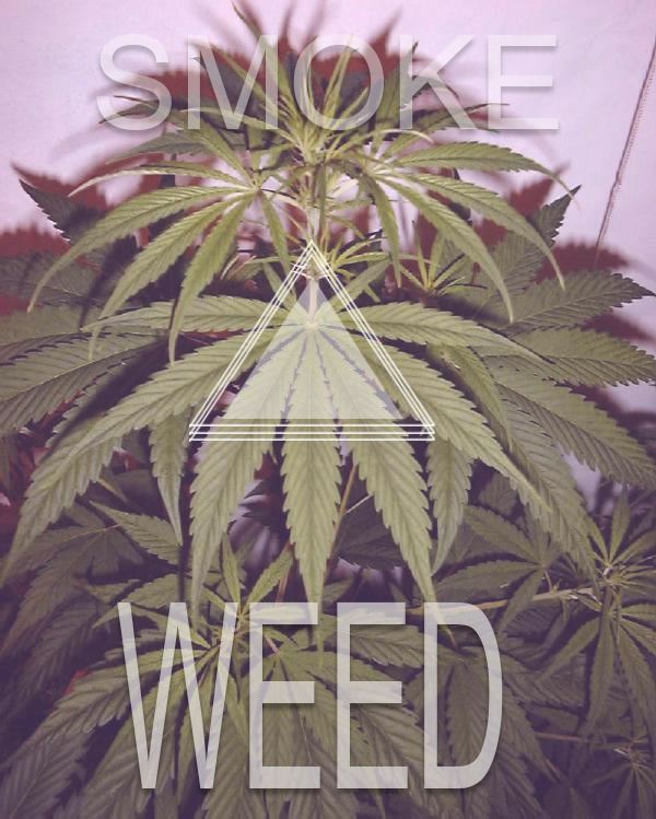Into A Stoner's Mind!