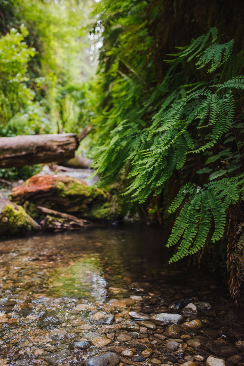 rhiannatruexx: creekside paradise | instagram