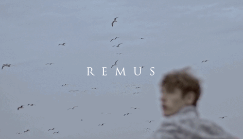 Face Cast: Tom Webb As Remus John Lupin