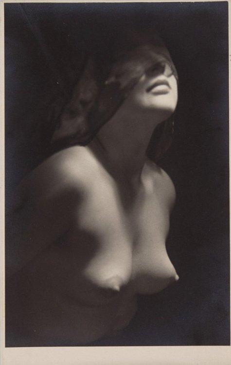 grandma-did: COLLECTION:  Studies in light and shadow by Manasse Studio, Vienna.