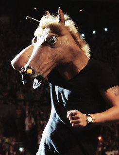 dailyonedirection:  HARRY STYLES’ COSTUMES OF 2013: the boxing kangaroo, a horse,