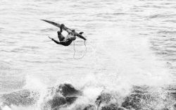 surfahh:  surfvivor:  kelly slater  ☯ 