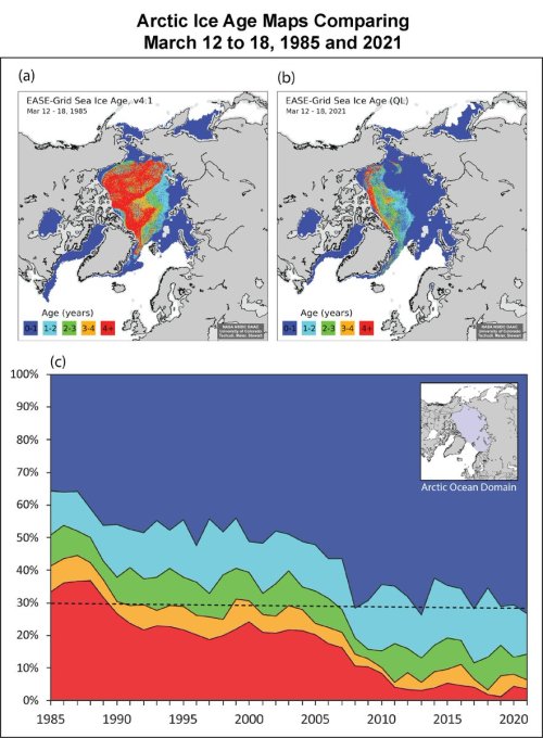 The loss of multi-year ice in Arctic has been profound & underlies many other changes. Just over