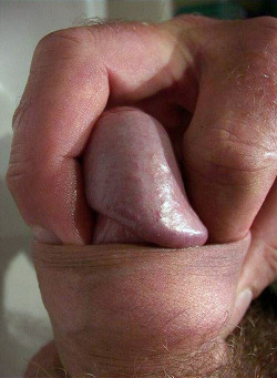 Soft, Wet Foreskins