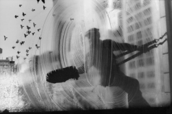 last-picture-show:Harold Feinstein, Window Washer &amp; Flock of Pigeons (Loft/23rd Street/NYC), 1972