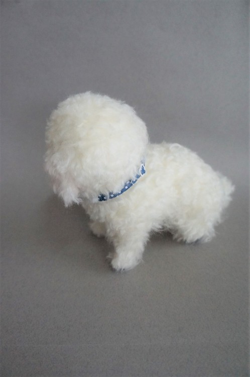 Porn photo janetsneedlefelting:  I felted this Maltese