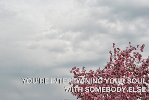 mtvformation:  somebody else // the 1975