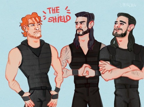 I’m upset about TLCBut this is still the shield reunion 
