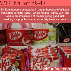 Elucida:  Nardaviel:magiccatprincess:wtf-Fun-Factss: Why Kit Kats Are So Popular