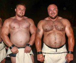 Justbulls: Thick Bulls 