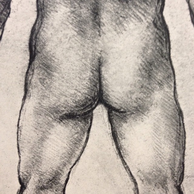 forsmithsandgiggles:  i’m a mature artist appreciating the finer details of leonardo’s