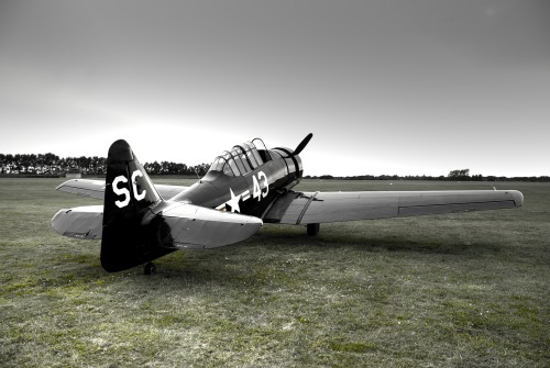 T-6 Texan, Harvard 