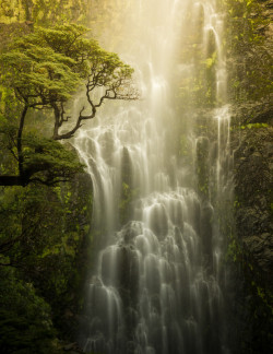 inhasa:  Waterfall by Thysje Arthur 