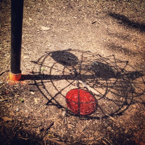 I love sunlight through MVP Proton plastic. #discgolfbaskets #discgolf #shadows #mvpdiscsports