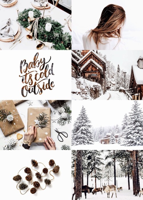 lo-ireese:  1000 Picspams Challenge | #52 Four Seasons | Winter “ To appreciate the beauty of 