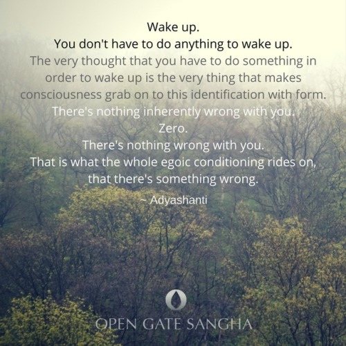 “Wake up. You don’t have to do anything to wake up. The very thought that you have to do something i