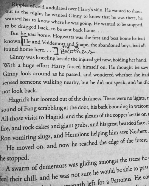 cw12:  Okay, I had this major realization reading Harry Potter and the Deathly Hallows last night. Harry, Voldemort and Snape represent the Three Brothers from The Tales of Beedle the Bard. [ I ] Voldemort being the one who wanted the wand to defeat