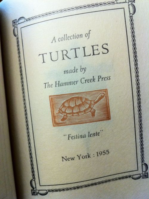 multcolib: We’re celebrating World Turtle Day here in the special collections, and what better