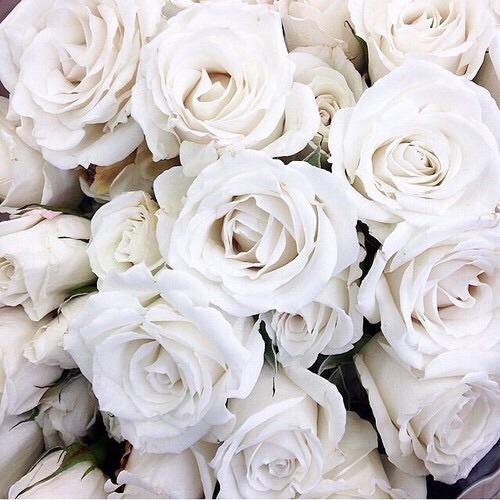 torinzbrg: White roses are my favourite 