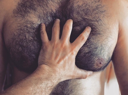 beardburnme2:  Ned_genev instagram 