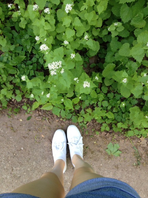plantvibes: sometimes things don’t work out the way you want them to and everything gets reall
