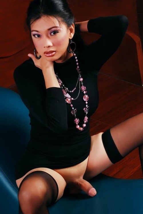 hotshemalesandladyboys:  Meet and fuck local shemales: http://bit.ly/29nS7hp