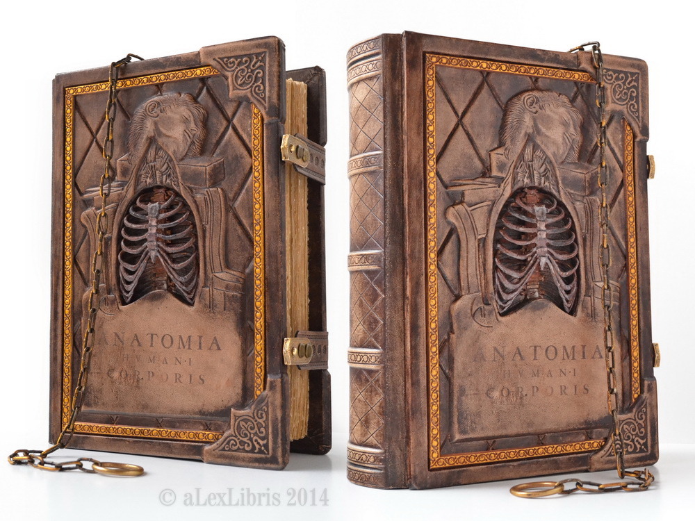 embergale:  marejadilla:    aLexLibris &lt;&lt;‘Anatomia Humani Corporis’