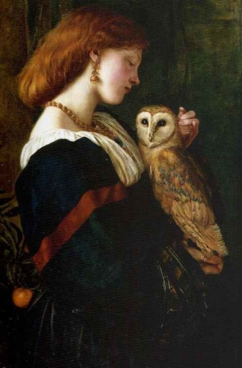 a-little-bit-pre-raphaelite:Il Barbagianni (The Barn Owl) Valentine Cameron PrinsepThe White Owl (‘A