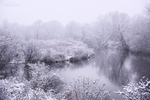 justinderosaphotography: A Winter’s Tale