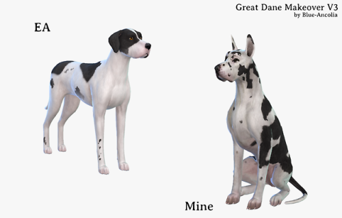 Great Dane Makeover (Third Version)