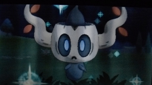 All caught in a single day (u okay shiny odds ???) Pumpkaboo took less than 30 mins, Phantump t