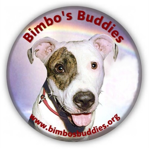 Today’s bimbo is: Bimbo’s buddies