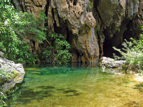 haleyknoxellen:Clear waters in Phong Nha-Ke Bang National Park, Vietnam