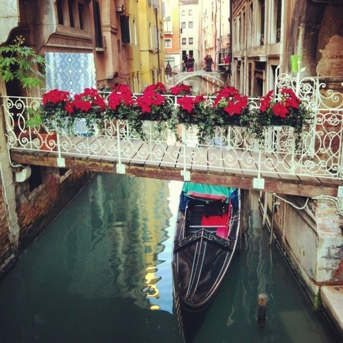mhistique:  chanel-champagne:  chanel-champagne.tumblr.com xox  For even more rosy,